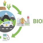 The biofuel cycle