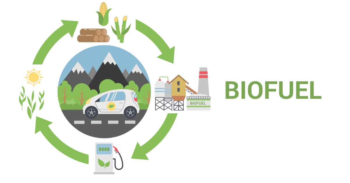 The biofuel cycle